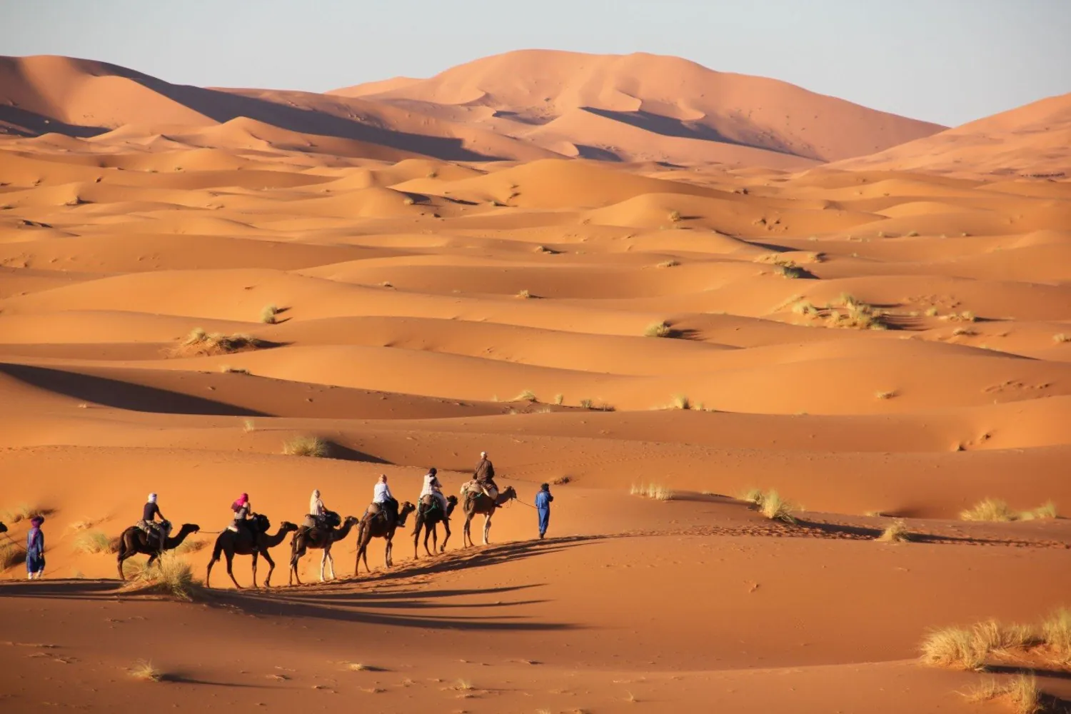 Camel ride in Merzouga