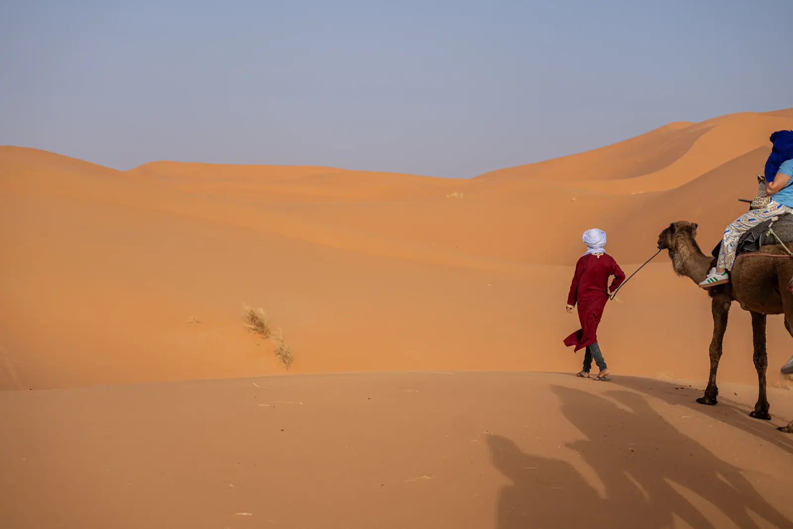 Camel caravan crossing the Erg Chebbi dunes on a Merzouga desert tour